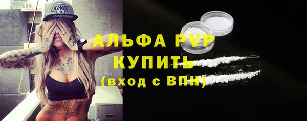 винт Абаза
