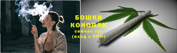 шишки Абдулино