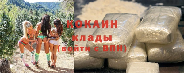шишки Абдулино
