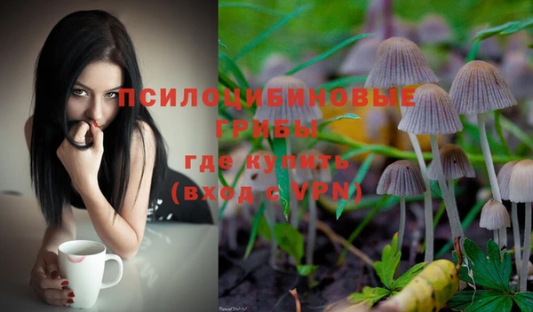 шишки Абдулино
