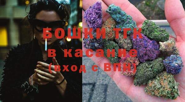винт Абаза