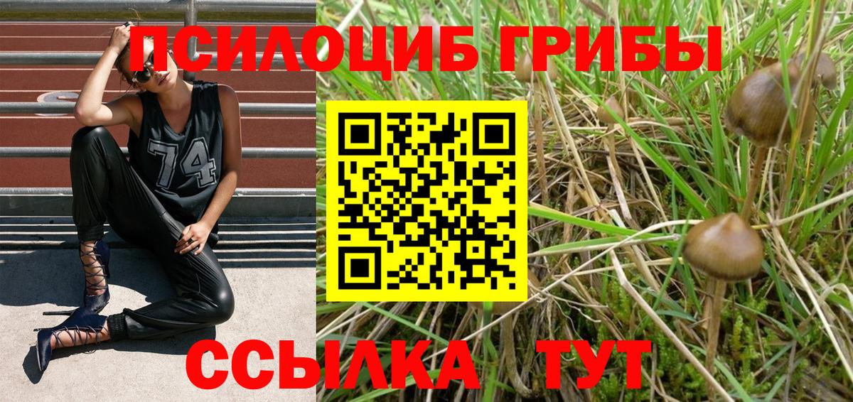 Псилоцибиновые грибы MAGIC MUSHROOMS  Псилоцибиновые грибы прущие грибы  Кингисепп  Вход с VPN 